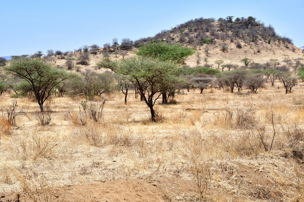 Tsavo West National Park